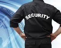 Professional Security Services