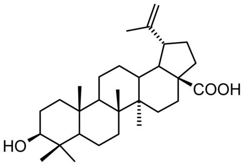 Betulinic Acid