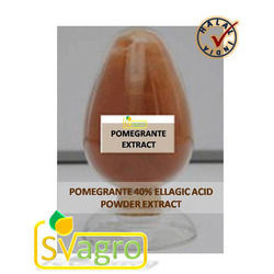 Pomegranate Extract - 100g Powder | Orange Color, 40% Ellagic Acid, Cool and Dry Storage