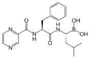 Bortezomib