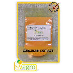 Turmeric Curcumin Extract