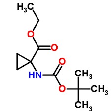 (1R,2S)-1-[[(1,1-Dimethylethoxy)carbonyl]amino]-2-