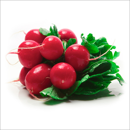 Radish