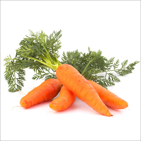 Carrot