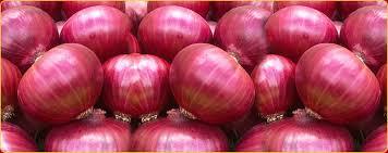 Pink Onion