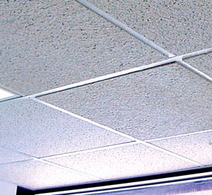 Acoustic Ceiling Tiles