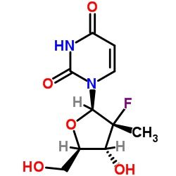 (2'R)-2'-Deoxy-2'-fluoro-2'-methyluridine