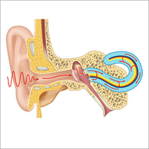 Ear Testing Services