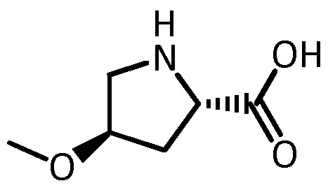 (2S,4S)-1-(tert-butoxycarbonyl)-4-(MethoxyMethyl)p
