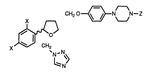 (4-[1,2,4] Triazol-1-yl methyl phenyl) hydrazine