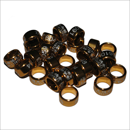 Pigeon Rings