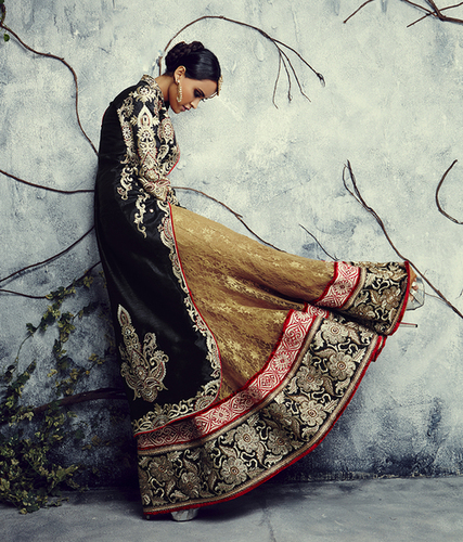 Designer Lehenga Choli