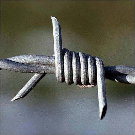 Barbed Wires