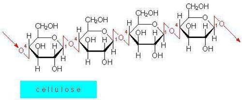 (betaS)-beta-Amino-3-ethoxy-4-methoxybenzeneethano