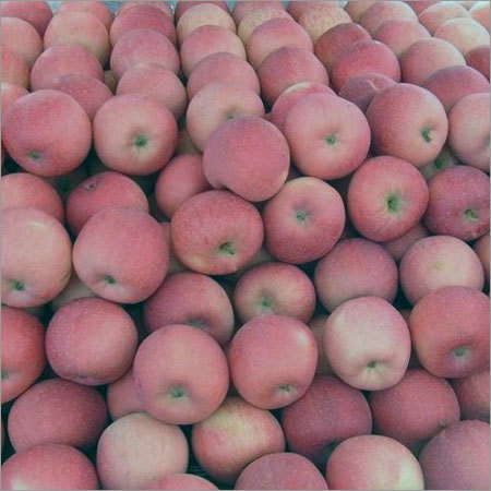 Red Fuji Apples By ABBAY TRADING GROUP, CO LTD