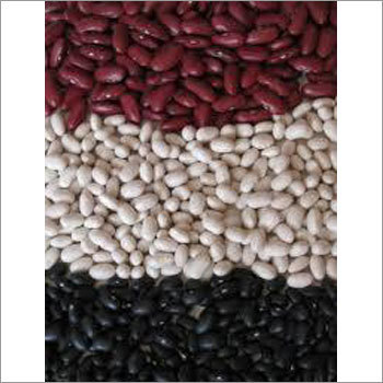 White Kidney Beans By ABBAY TRADING GROUP, CO LTD