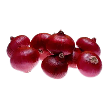 Resd Onion