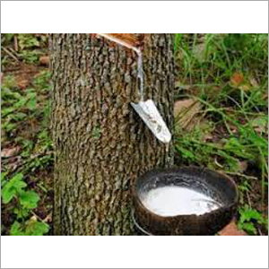 Natural Rubber