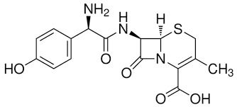 Cefadroxil