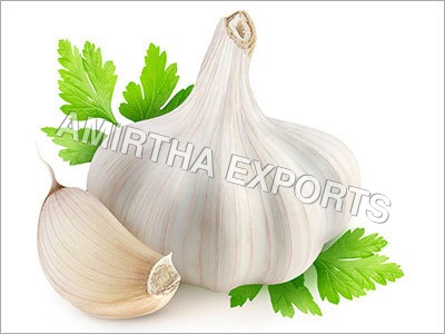 Fresh Garlic