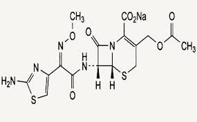 Cefodizime sodium