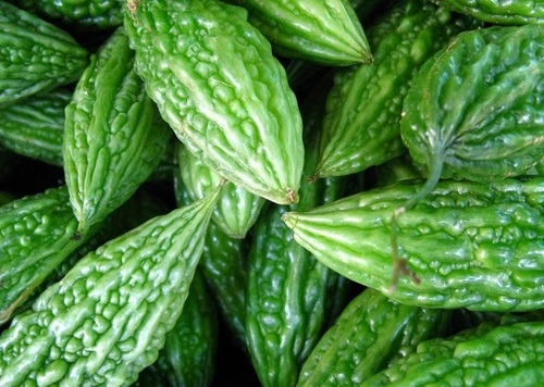 Bitter Gourd (Karela)