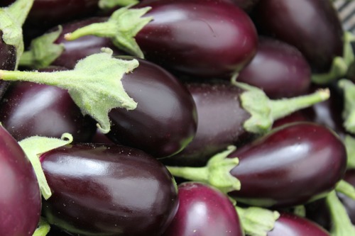 Brinjal (Baingan)