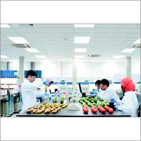 Executive Search for Food Processing