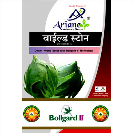Hybrid Cotton Seeds