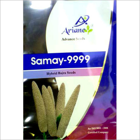 Hybrid Bajra Seeds