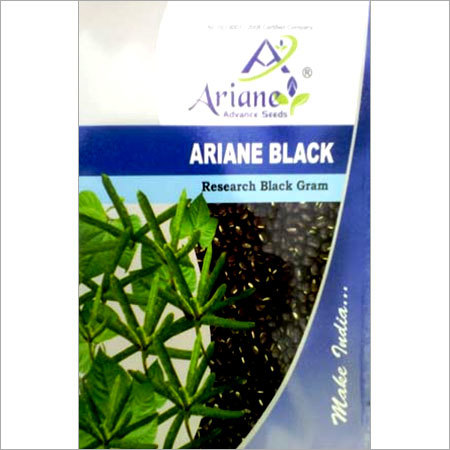 Black Gram Seeds