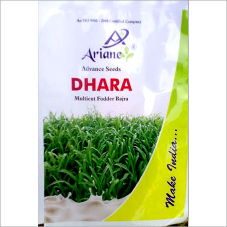 Millet Seed