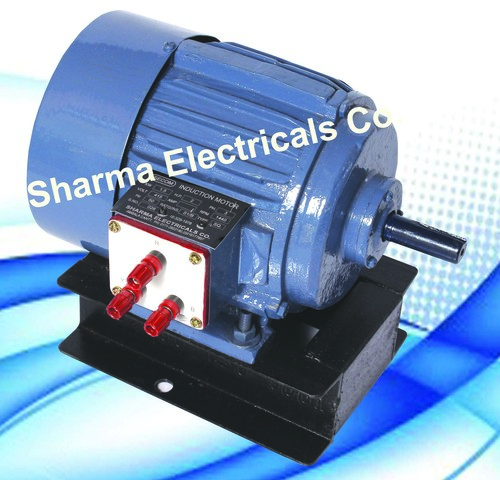 SQUIRREL CAGE INDUCTION MOTOR