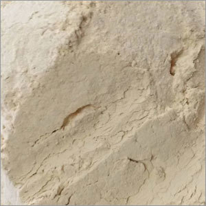Dehydrated Garlic Powder