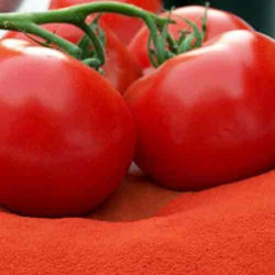 Spray Dried Tomato Powder Grade: Food