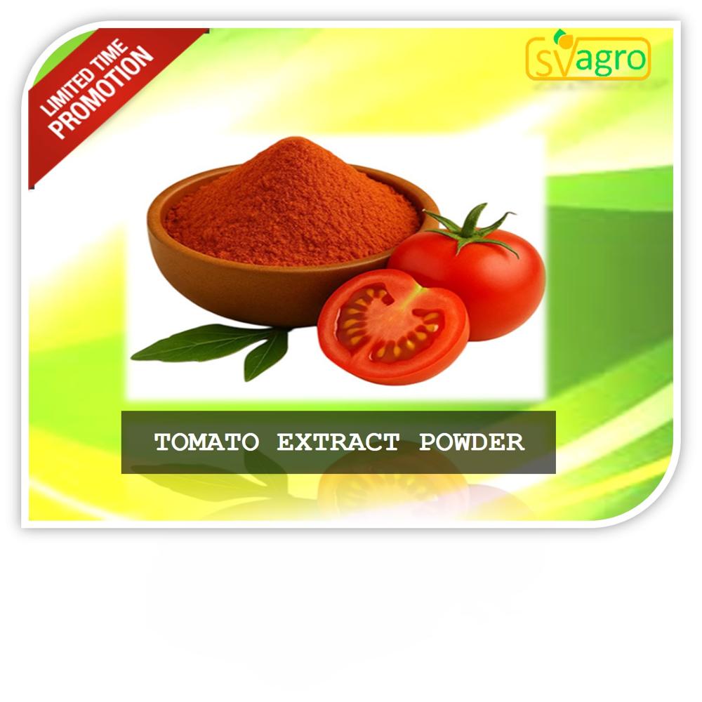 Spray Dried Tomato Powder - Food Grade Fine Powder Form | Premium Quality in Convenient Bag Packaging
