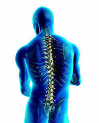 Lumbar Spinal Stenosis Surgery - General Anesthesia, Laminectomy/Fusion | Pain Relief, Nerve Decompression, Improved Mobility, Stabilization, 2-5 Days Hospital Stay