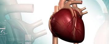 Heart Transplant