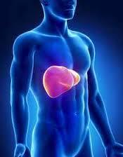 Guidelines for Liver Transplant