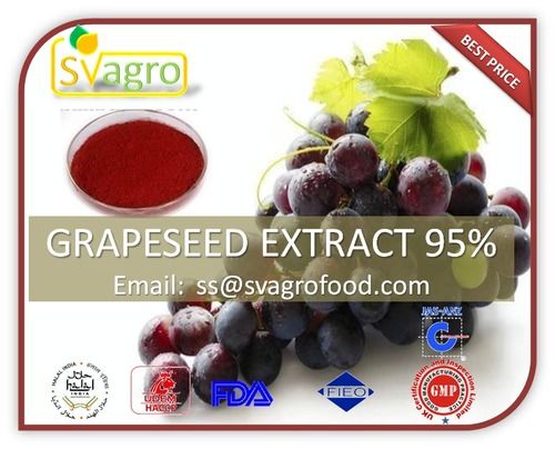 Grape Seed Extract 95%