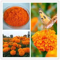 Natural Marigold Flower Extract Lutein