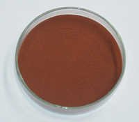 Pine Bark Extract 95% OPC