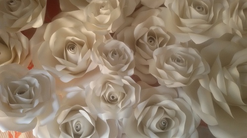 Roses