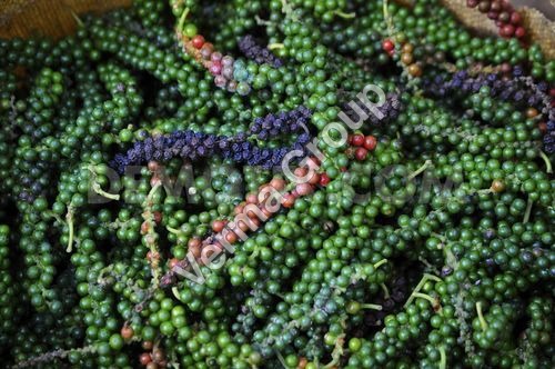 Black Pepper Co2 Extract Oil