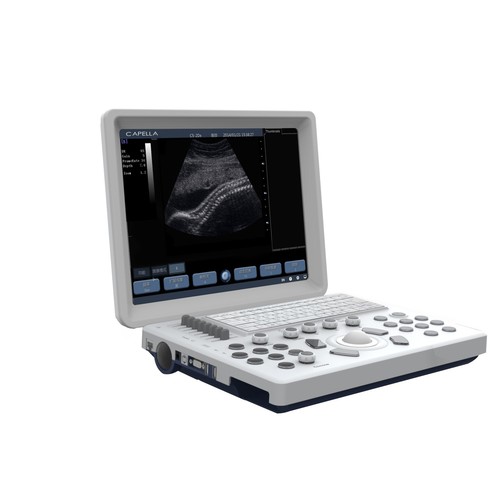 Capella Eve 8M