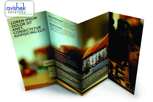 Brochure 3 Fold