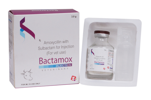 Amoxicillin & Sulbactam 3 gm Injection