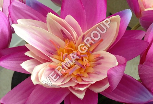 Indian Lotus Attar - Pink, Steam Distilled | Floral Aroma, Earthy Note, Meditation Aid, Crown Chakra, Refined Fragrance