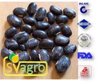 Mucuna Pruriens Extract Purity(%): 98.8%