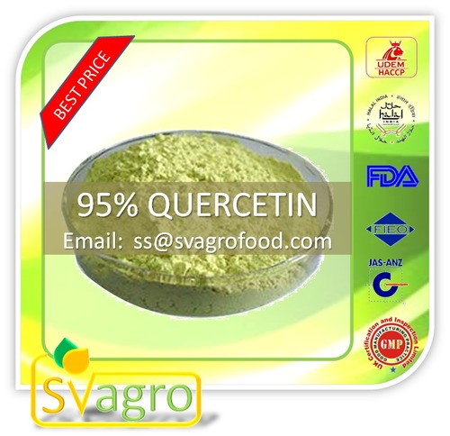 95% Quercetin